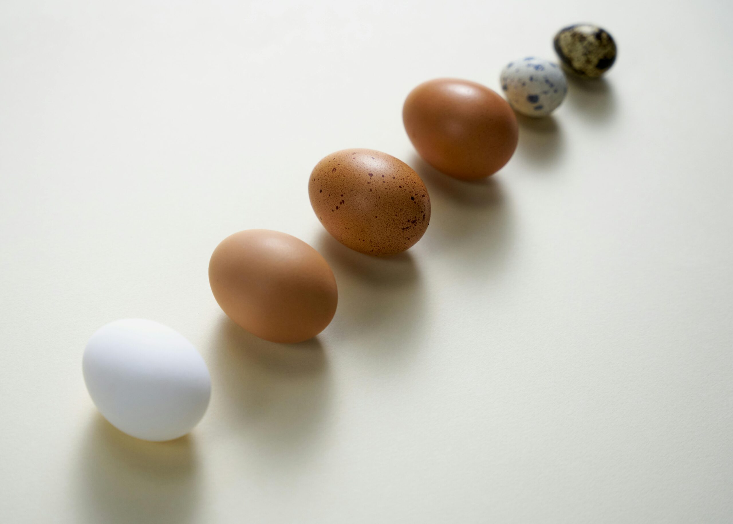 Gesetzliche Vorschriften für den Eierverkauf in Deutschland